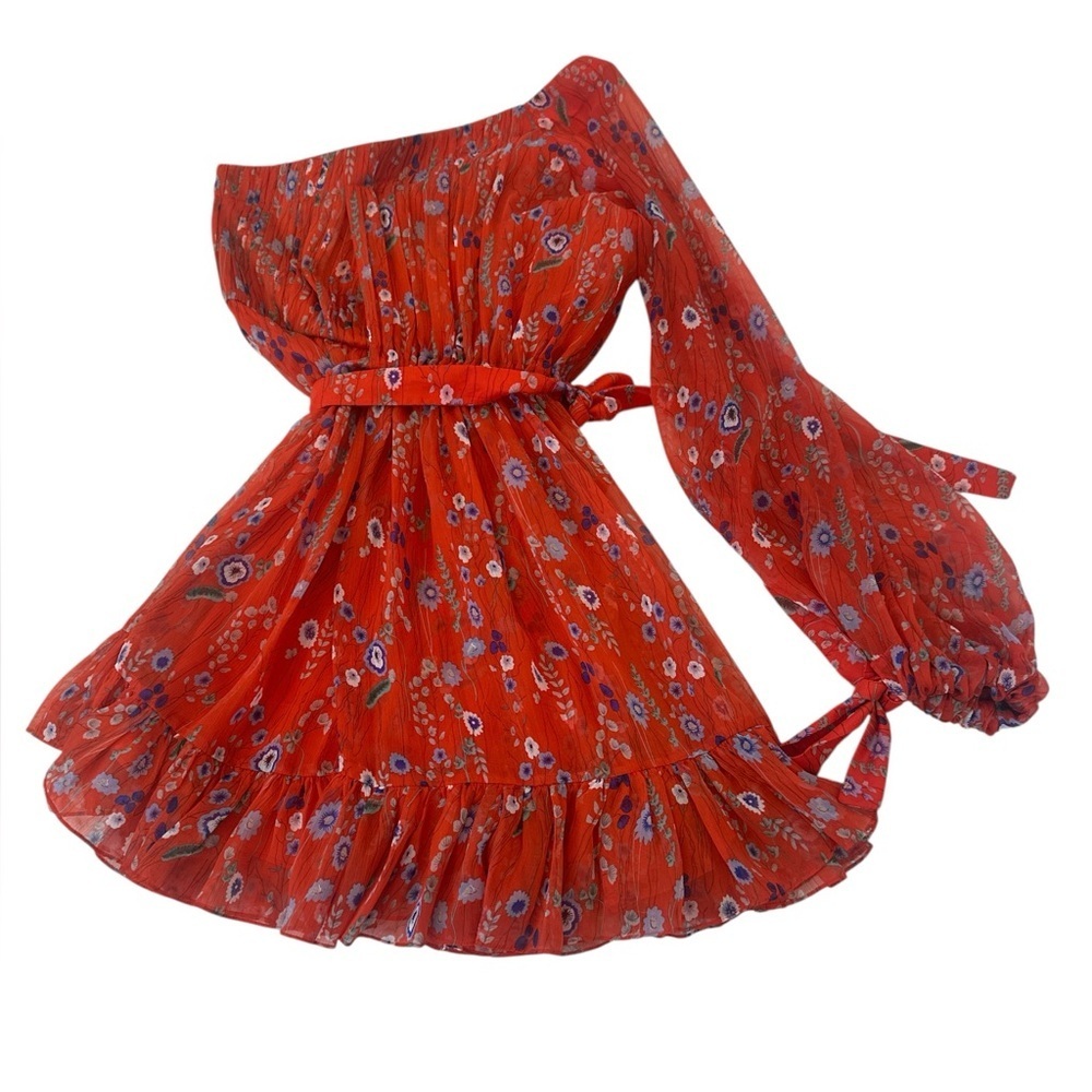 Revolve Alexis Edyta floral print one-shoulder mini dress - Picture 11 of 14